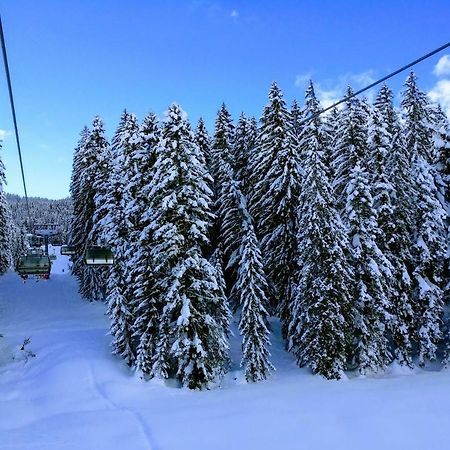 Pension Edelweiss Top 25 Гозау Экстерьер фото