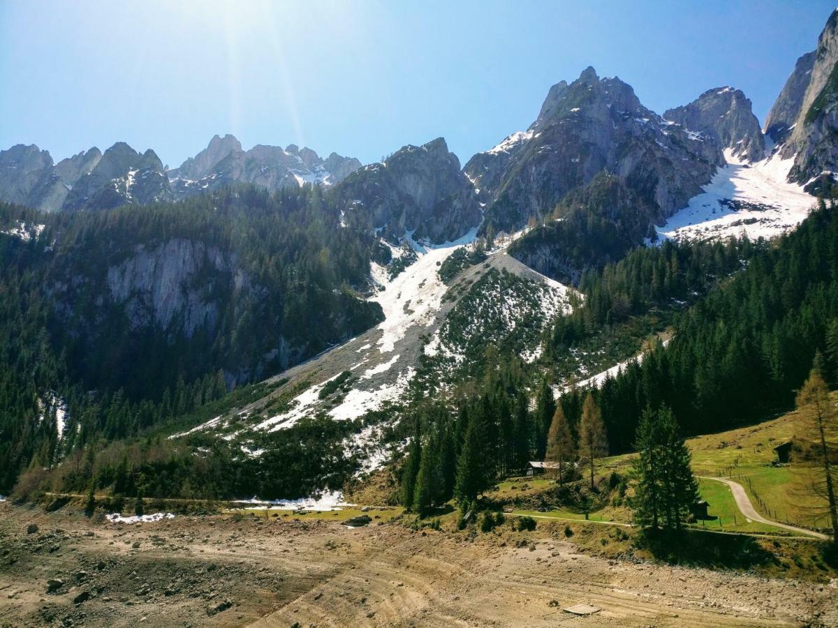 Pension Edelweiss Top 25 Гозау Экстерьер фото