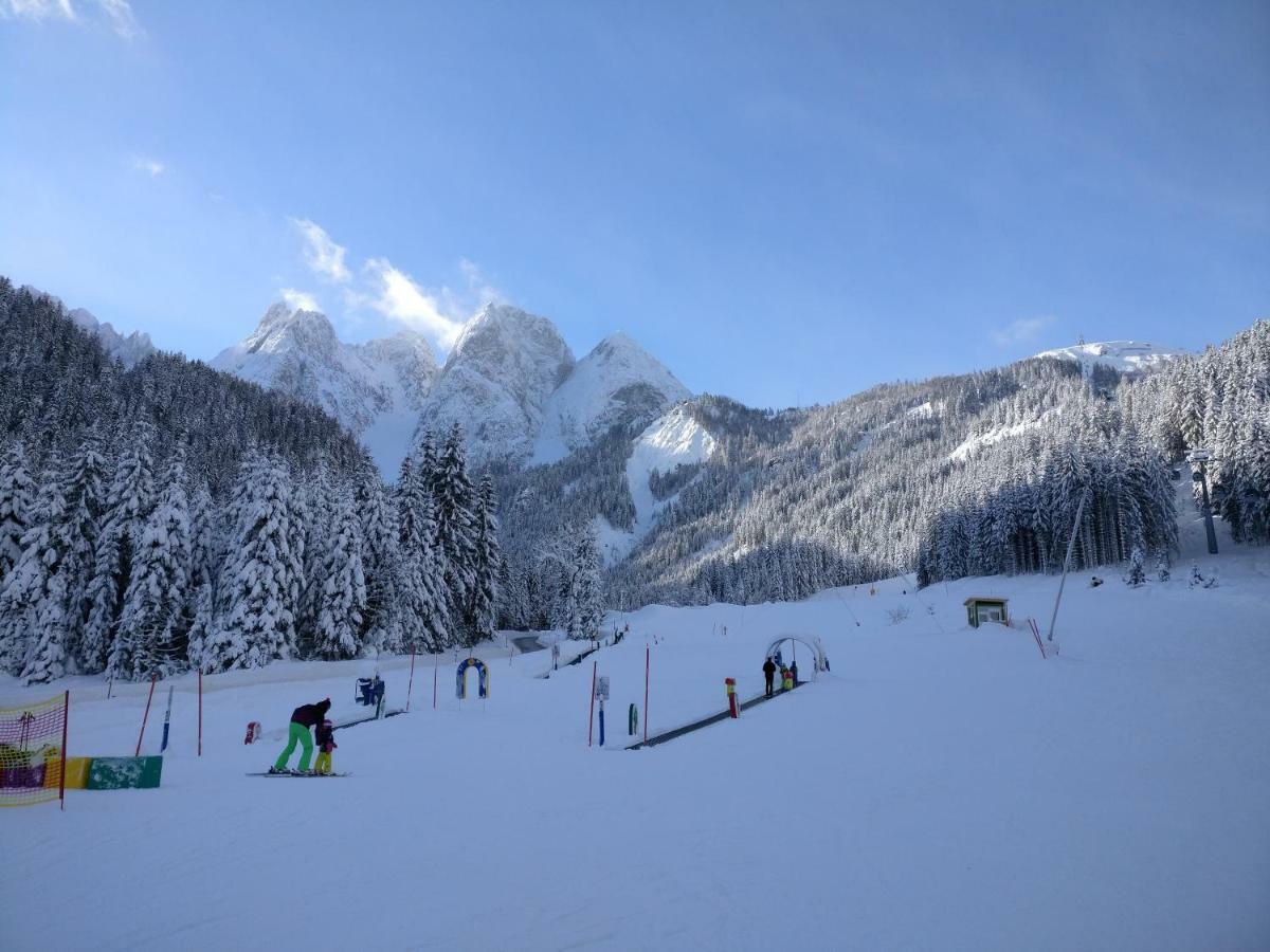 Pension Edelweiss Top 25 Гозау Экстерьер фото
