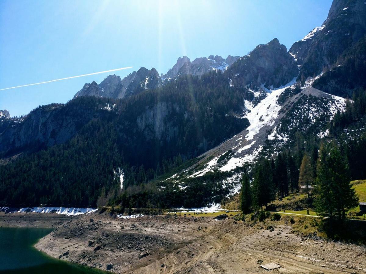 Pension Edelweiss Top 25 Гозау Экстерьер фото