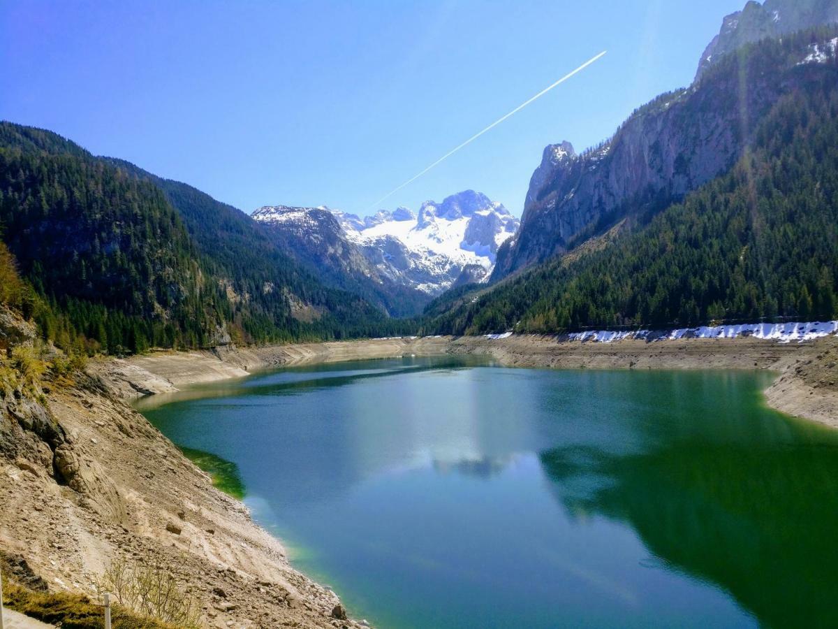 Pension Edelweiss Top 25 Гозау Экстерьер фото