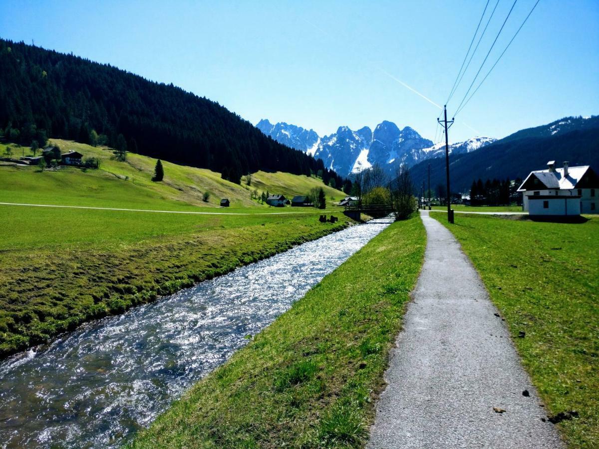 Pension Edelweiss Top 25 Гозау Экстерьер фото