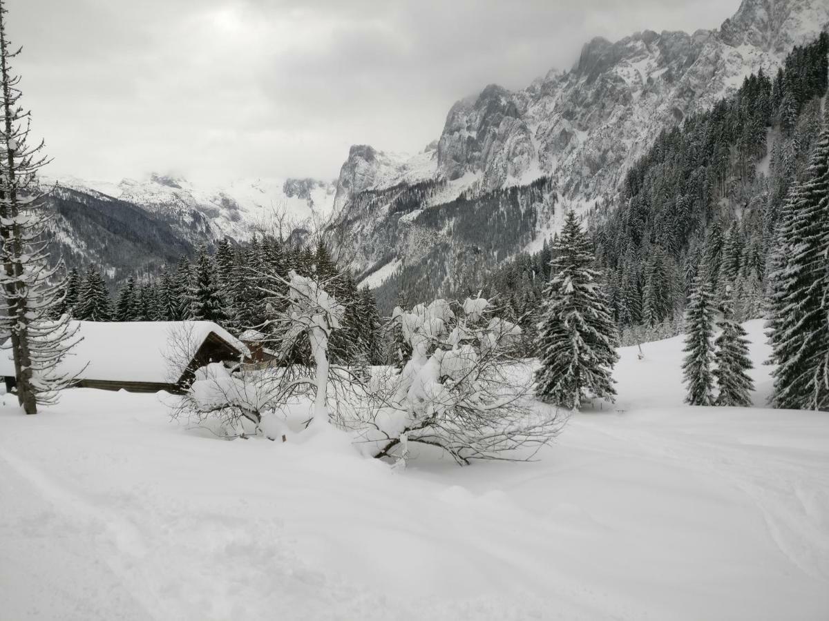 Pension Edelweiss Top 25 Гозау Экстерьер фото