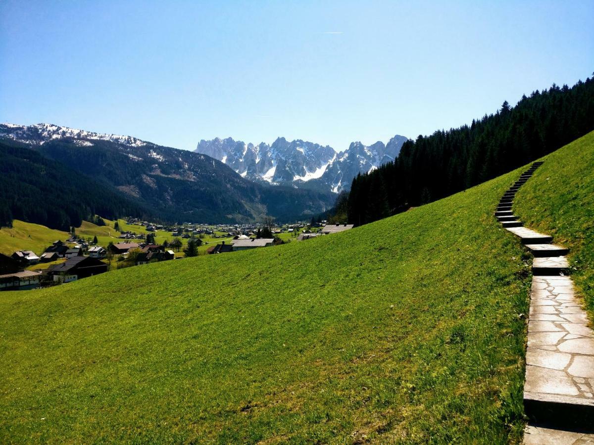 Pension Edelweiss Top 25 Гозау Экстерьер фото
