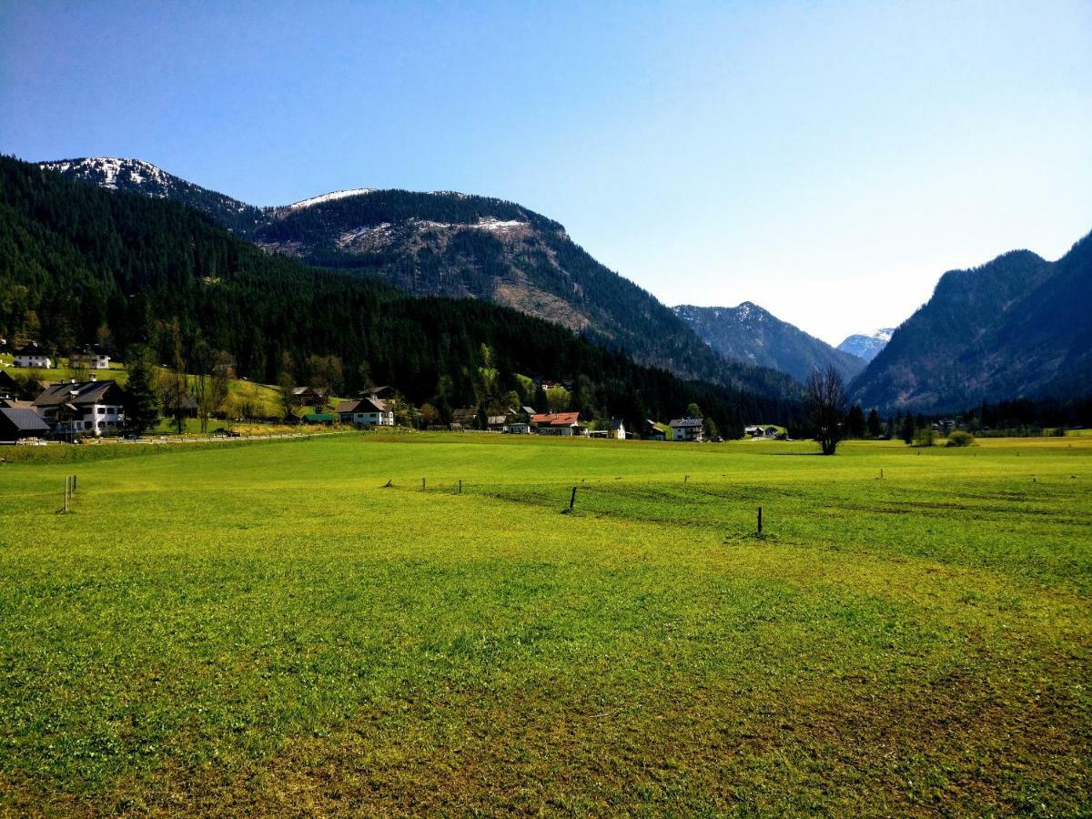 Pension Edelweiss Top 25 Гозау Экстерьер фото