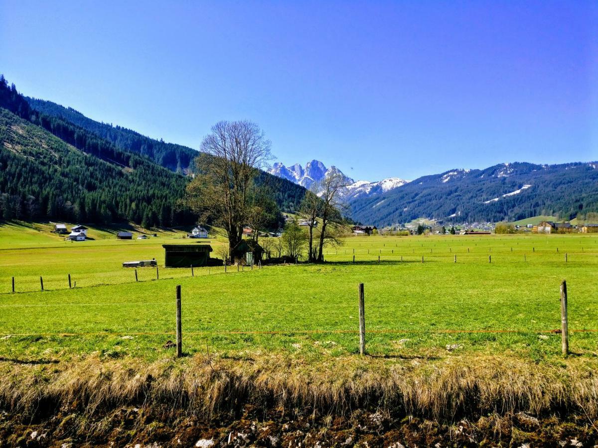 Pension Edelweiss Top 25 Гозау Экстерьер фото