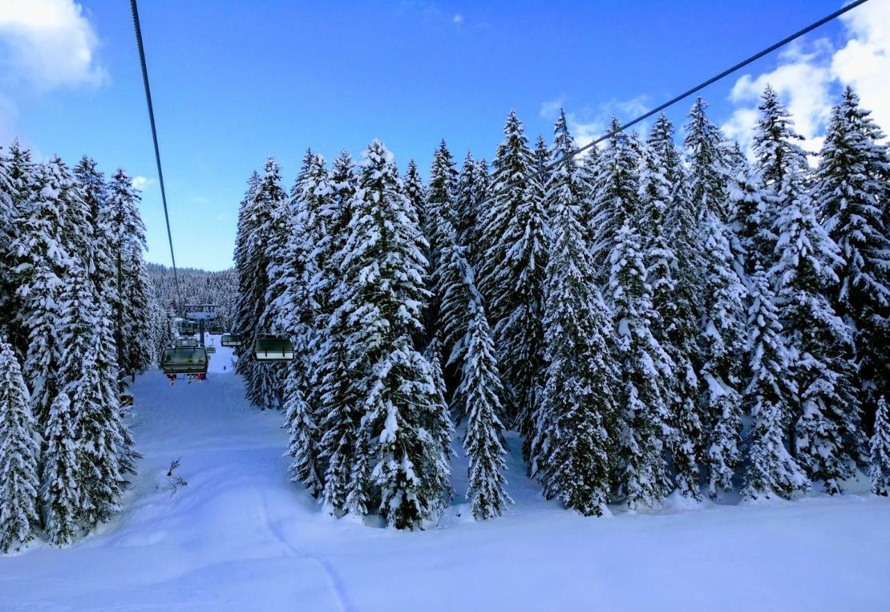 Pension Edelweiss Top 25 Гозау Экстерьер фото