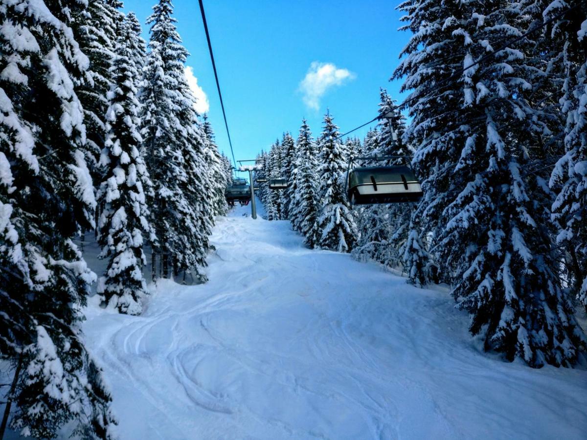 Pension Edelweiss Top 25 Гозау Экстерьер фото