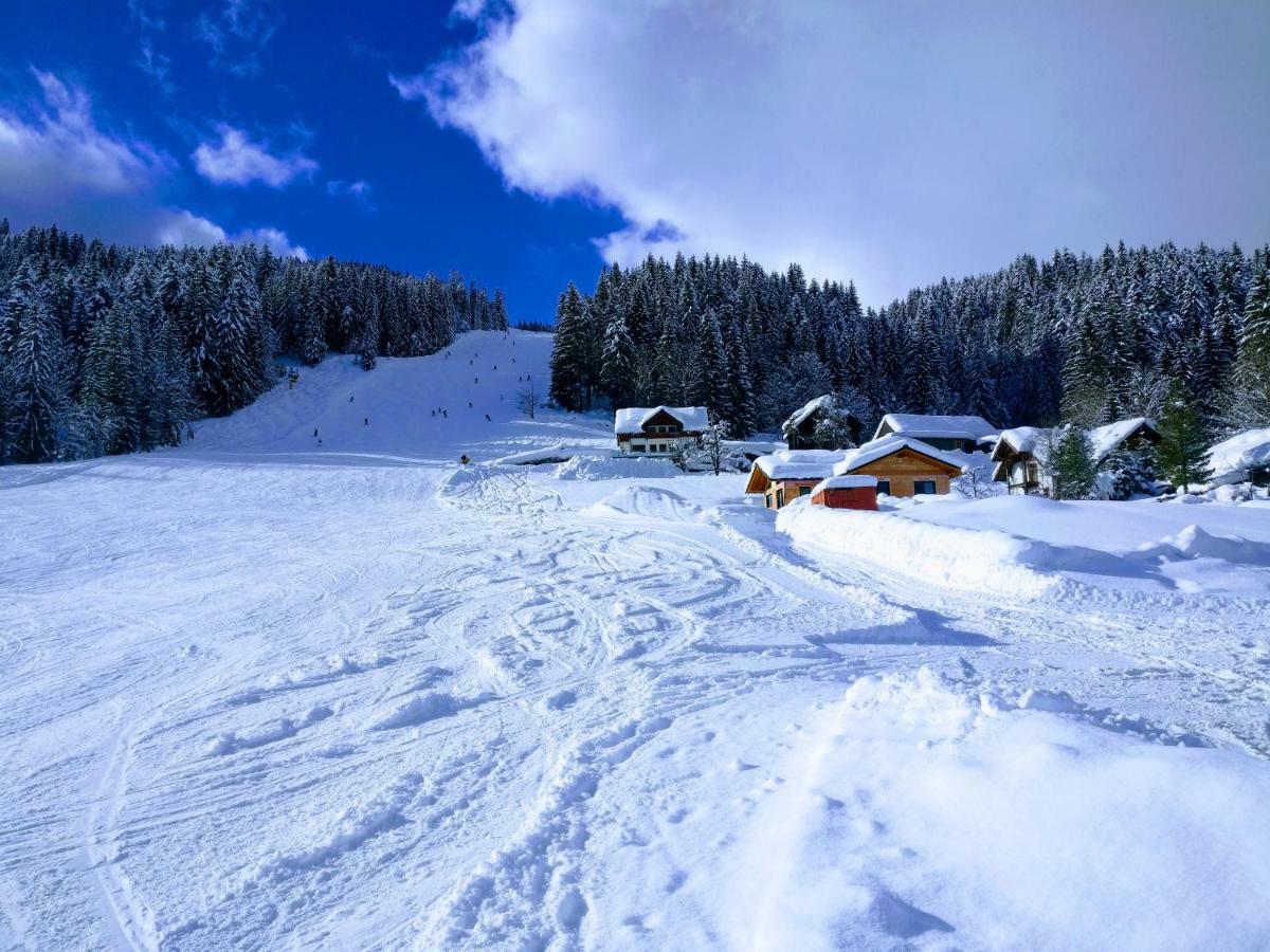 Pension Edelweiss Top 25 Гозау Экстерьер фото